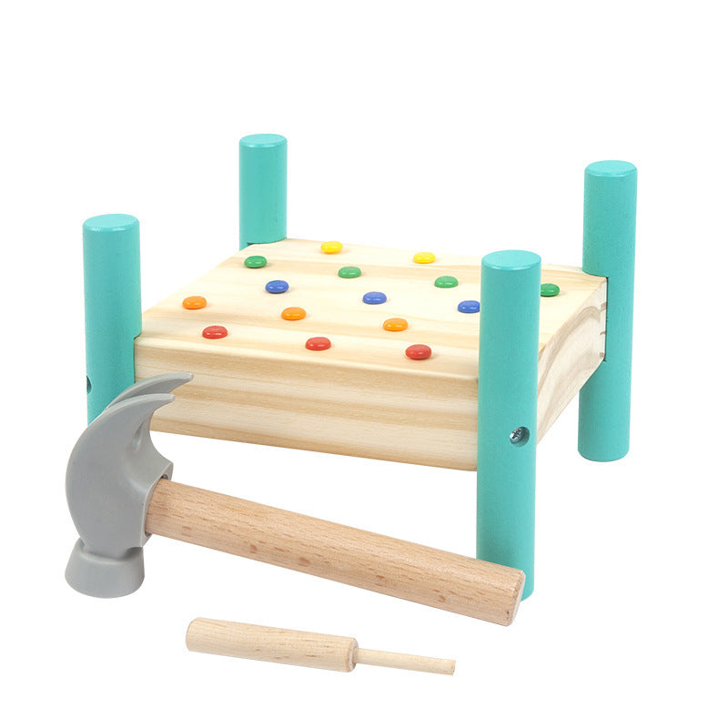 Montessori Puzzle Rivet Toy