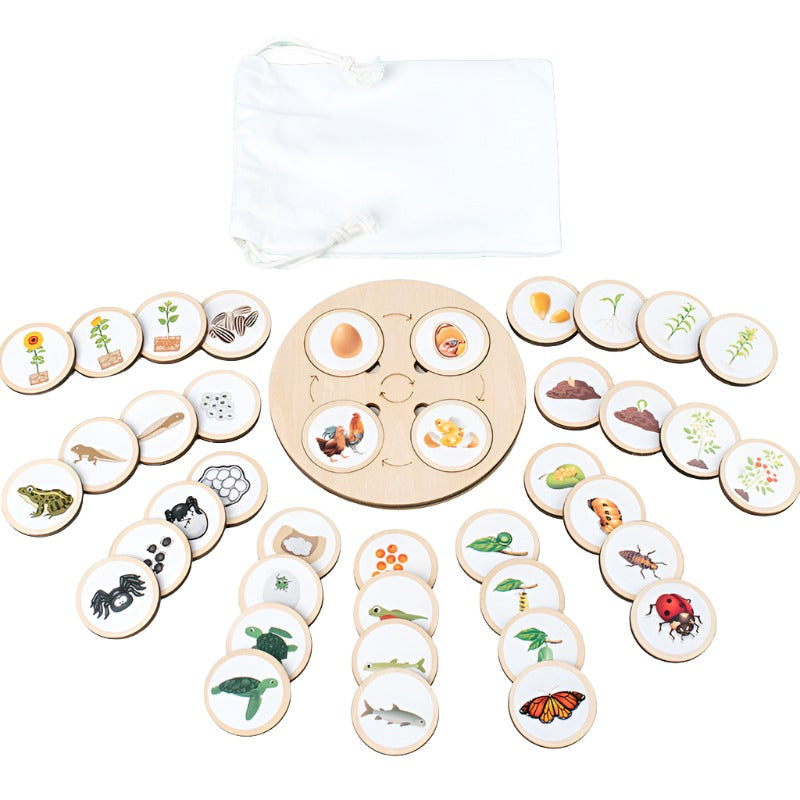 Montessori Life Cycle Puzzle Board